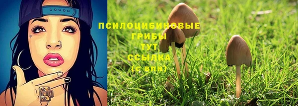 гашишное масло Богданович